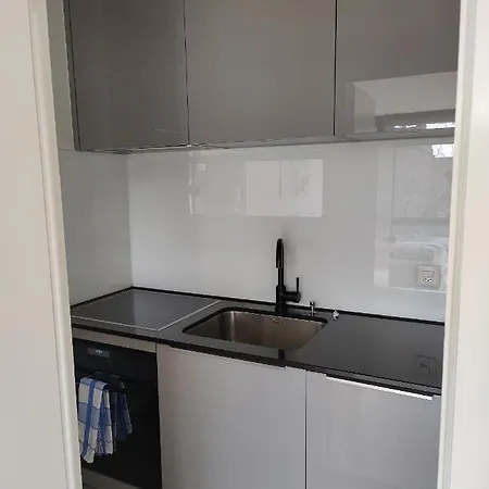 The Ultimate Studio Rhine View Apartment
