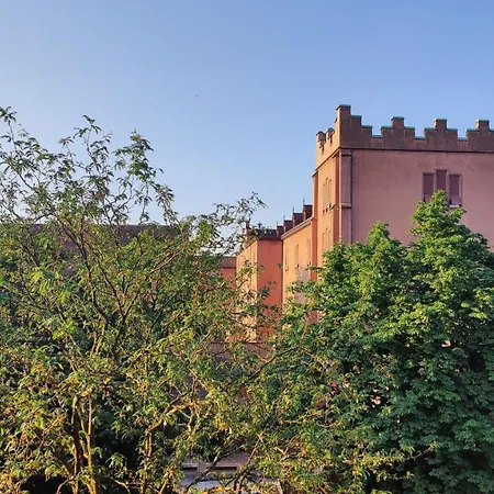 Apartment The Ultimate Studio Rhine View *